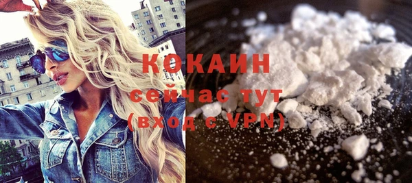 ешки Вяземский