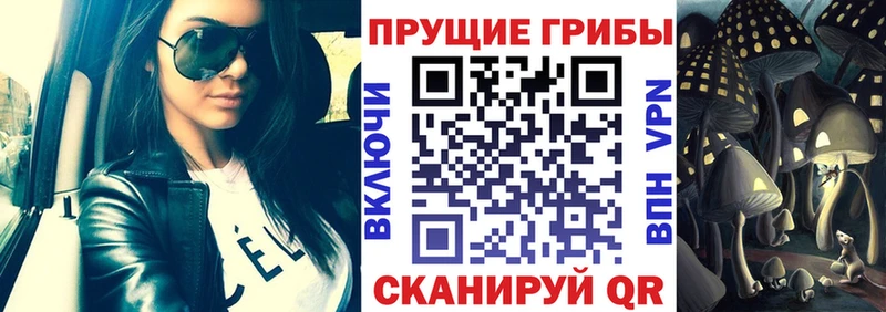 OMG зеркало  Избербаш  Галлюциногенные грибы прущие грибы 