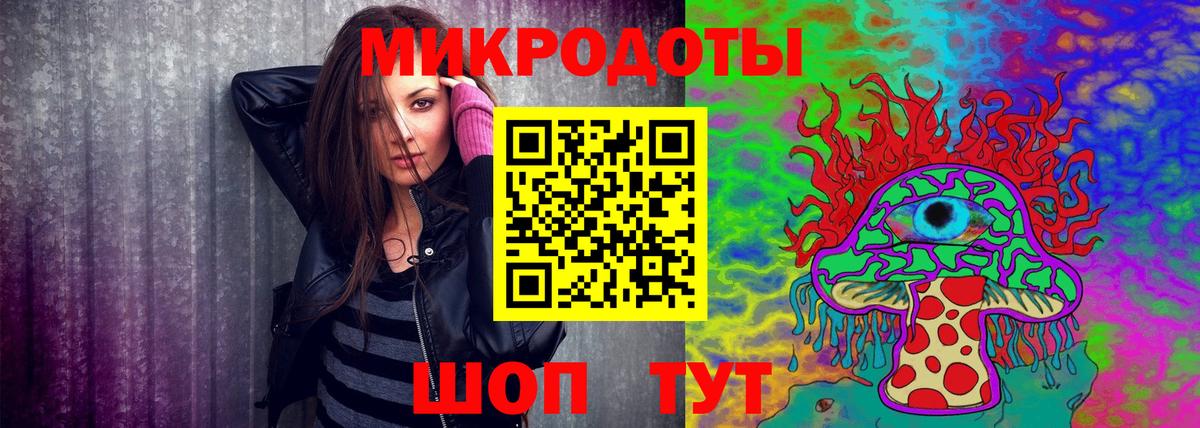 Псилоцибиновые грибы Psilocybe Избербаш